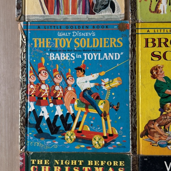 Collection - Multicolor - Picture 6 of 17